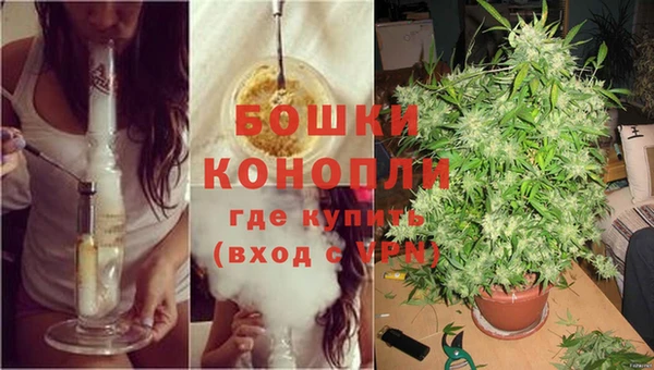 не бодяженный Каменногорск