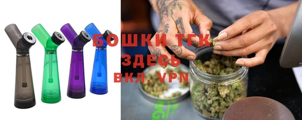 хмурый Каменка