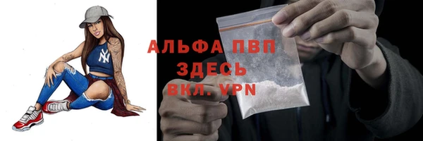 хмурый Каменка