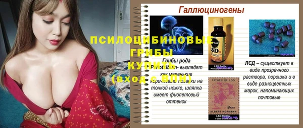 хмурый Каменка