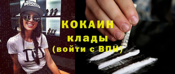 хмурый Каменка