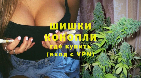 индика Карпинск