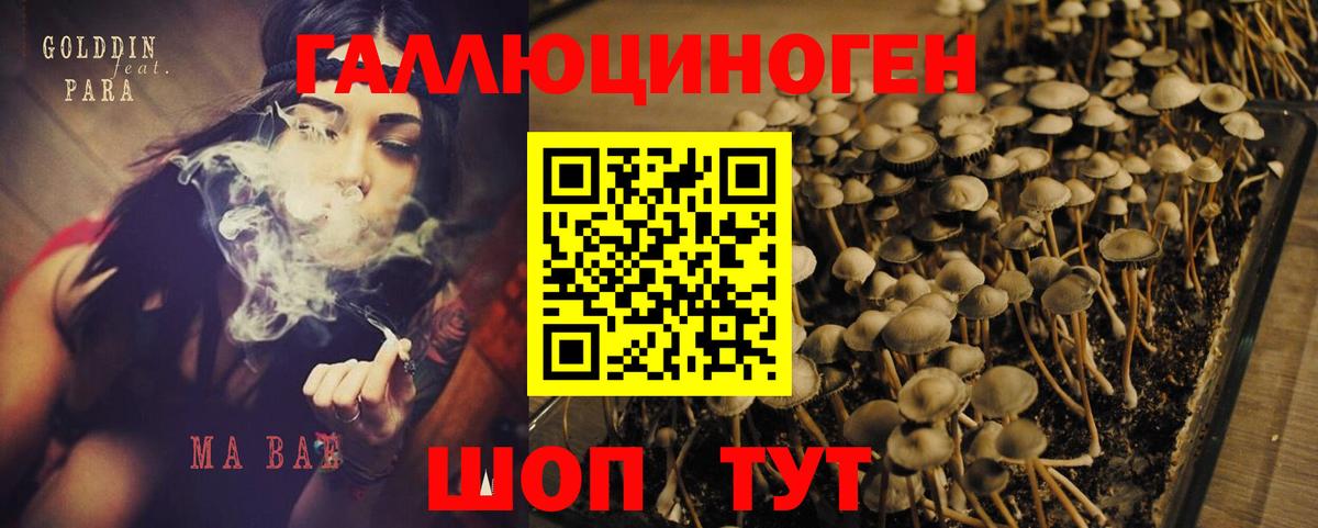 Псилоцибиновые грибы MAGIC MUSHROOMS  Коркино 