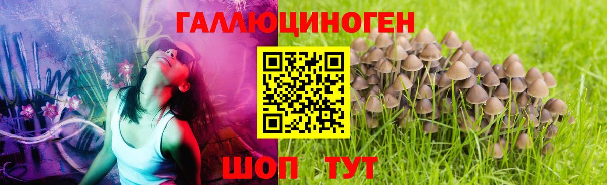 Галлюциногенные грибы ЛСД Коркино