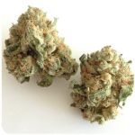 Шишки "White Widow"  (Белая вдова)  Гидропоника -  Бошка VHQ в Коркино